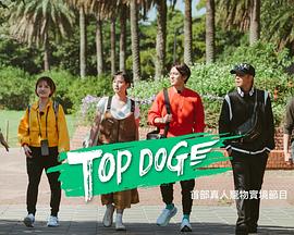 黑料吃瓜王《TOP DOG》免费在线观看