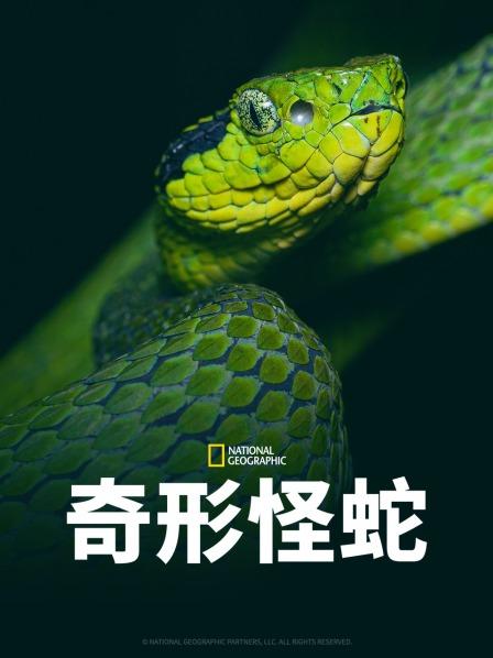 黑料吃瓜精品一区二区《奇形怪蛇》免费在线观看